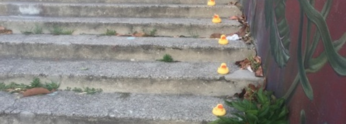 Release The Quacken: Toy Ducks Reappear In Noe Valley