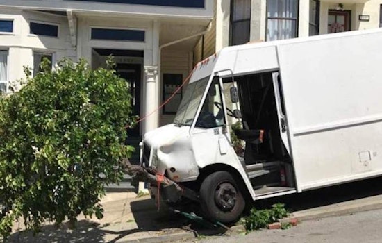 Runaway Truck Trashes Bernal Heights Tree