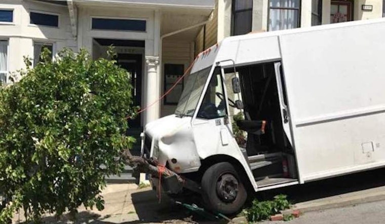 Runaway Truck Trashes Bernal Heights Tree