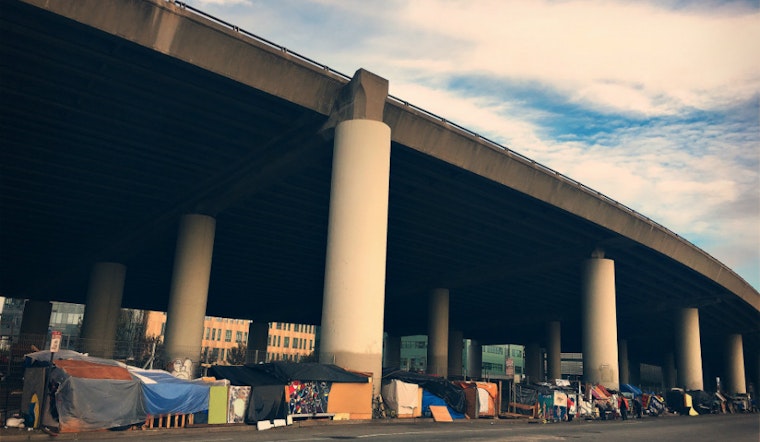 Homeless Activist Using Medical Cannabis To Fight Addiction