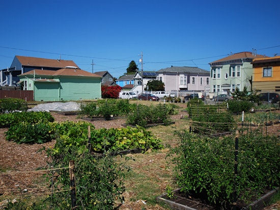 City Moves Forward With Plan To Sell West Oakland Plot To Former Black Panther