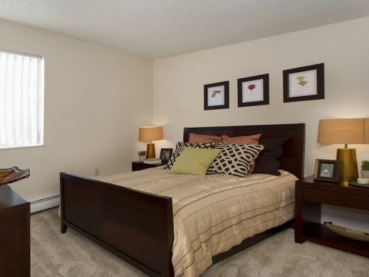 What will $800 rent you in East Colorado Springs right now?