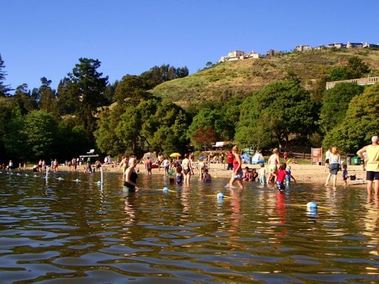 Toxic Algae Closes Lake Temescal For Swimmers