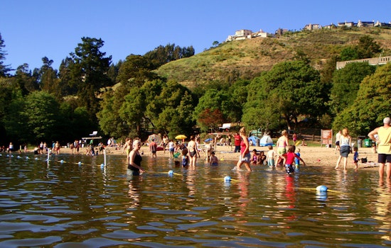 Toxic Algae Closes Lake Temescal For Swimmers