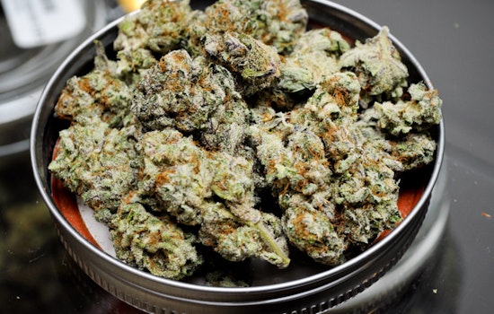 Sports-Themed Cannabis Dispensary Sets Sights On Polk St.