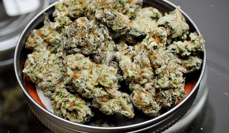 Sports-Themed Cannabis Dispensary Sets Sights On Polk St.