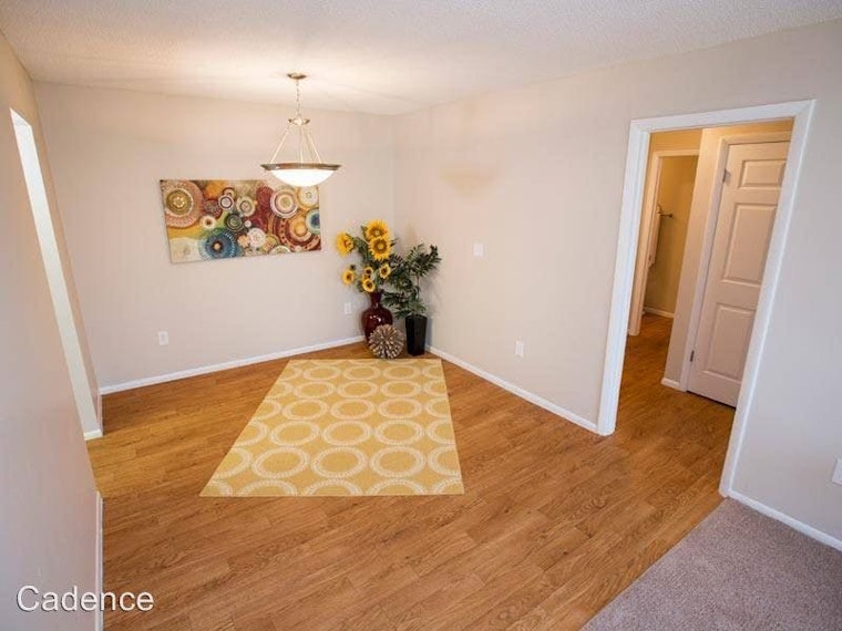 Renting in Orlando: What will $1,000 get you?