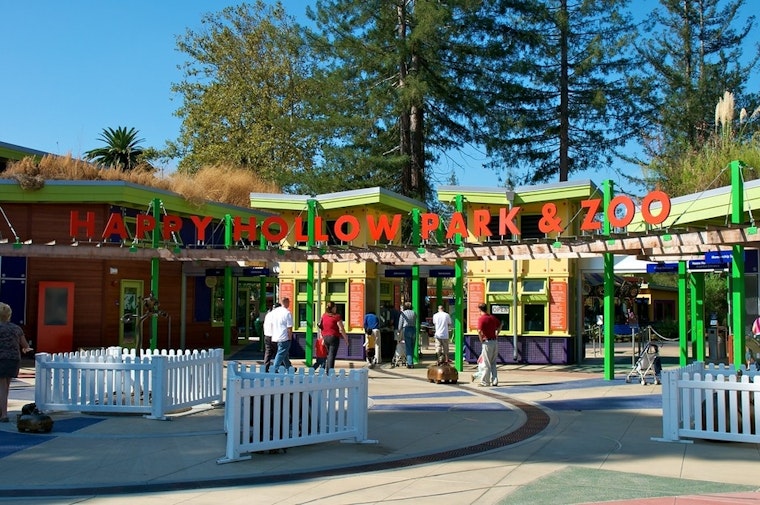 Top San Jose news: Man shot near Happy Hollow Zoo; homeless solutions discussed at annual meeting