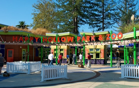 Top San Jose news: Man shot near Happy Hollow Zoo; homeless solutions discussed at annual meeting