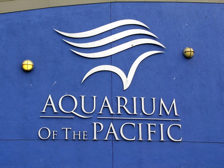 Top Long Beach news: Aquarium plans to house struggling Delta smelt; LBCC celebrates state title