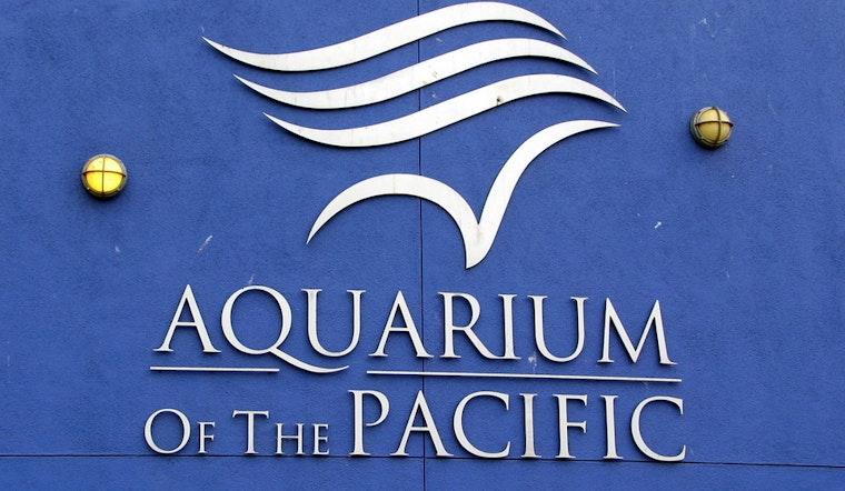 Top Long Beach news: Aquarium plans to house struggling Delta smelt; LBCC celebrates state title