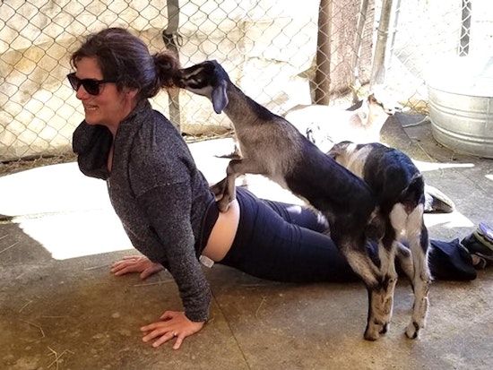 French Fry Fest, Baby Goat Yoga & 23 Other Ways To Love Your Weekend