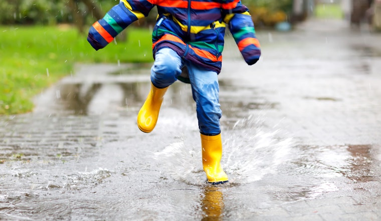 St. Louis weather: Rain, high of 74 degrees in forecast