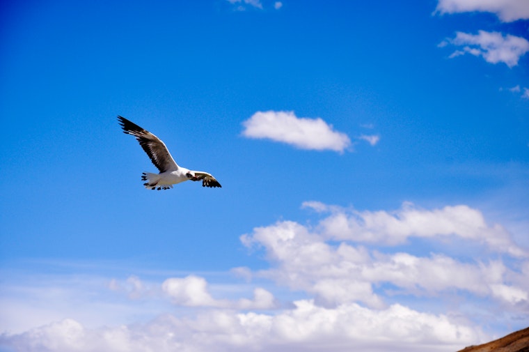Check out Las Vegas's top recent community tweets