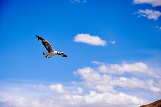 Check out Las Vegas's top recent community tweets