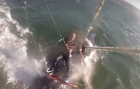 Kiteboarder Captures Video Of Whale Collision Near Crissy Field