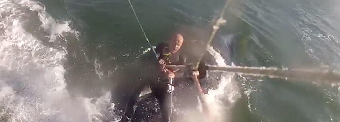 Kiteboarder Captures Video Of Whale Collision Near Crissy Field