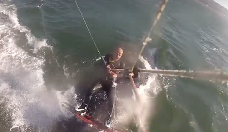 Kiteboarder Captures Video Of Whale Collision Near Crissy Field