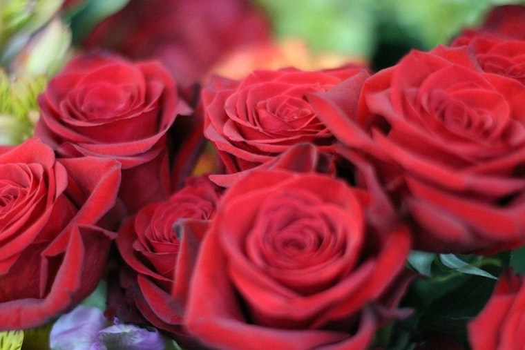 St. Louis' top 4 florists to visit now