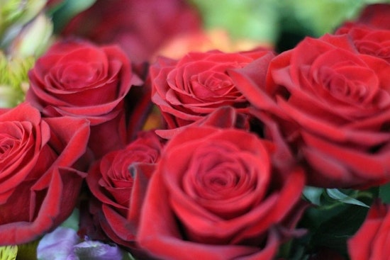 St. Louis' top 4 florists to visit now