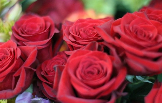 St. Louis' top 4 florists to visit now