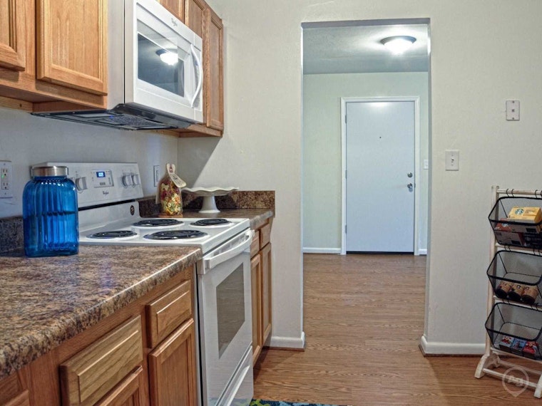 Renting in Virginia Beach: What will $800 get you?