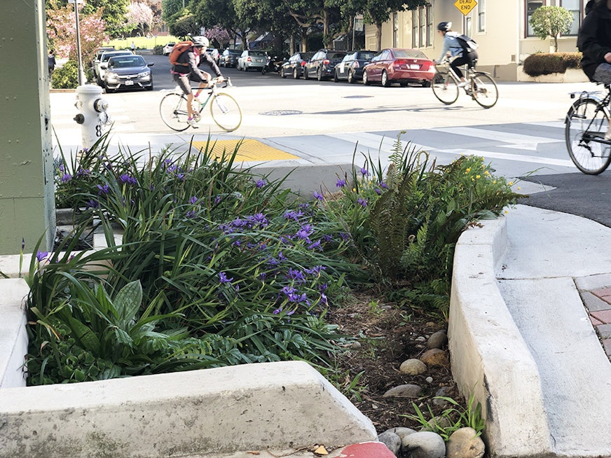 City seeks neighborhood 'guardians' to adopt its new rain gardens