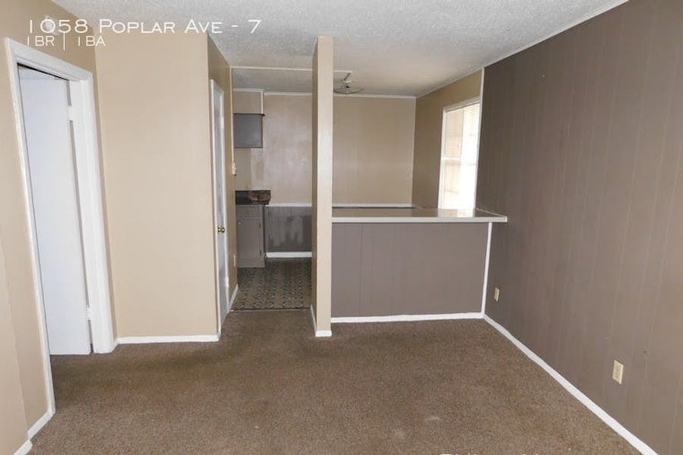 Renting in Memphis: What will $500 get you?