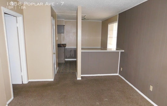 Renting in Memphis: What will $500 get you?