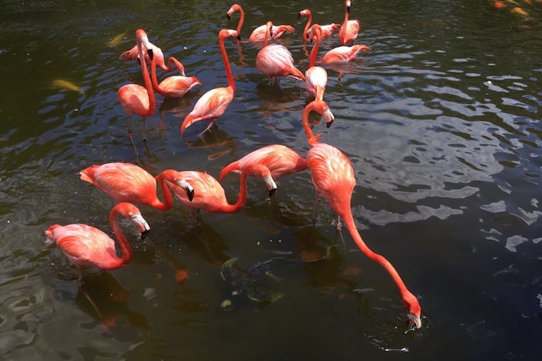 4 ways to enjoy your week in Miami