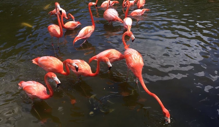 4 ways to enjoy your week in Miami