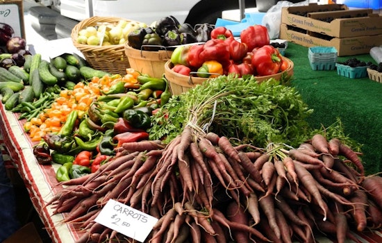 Bayview To Pilot Farmers Market In August