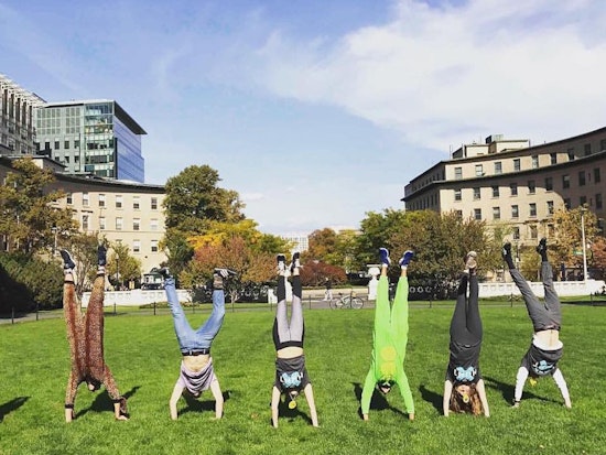 This Weekend: Mac & Cheese, Salsa Festival, Handstand World Record Attempt