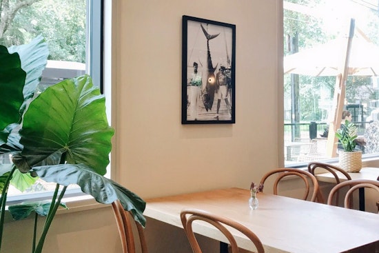 New cafe Tropicales now open in University Place