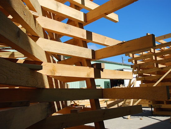 Artists Building Burning Man Temple With Dead Trees Removed By PG&E