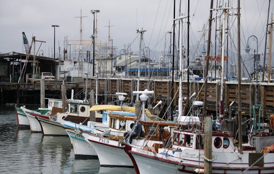 Commercial Boats Could Sell Directly To Public At Fisherman's Wharf