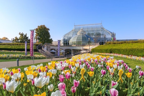 Pittsburgh boasts a hot lineup of family and learning events this week