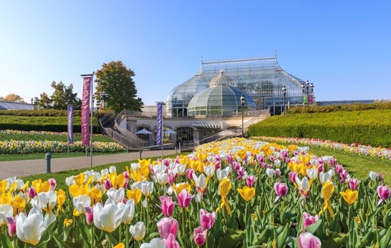 Pittsburgh boasts a hot lineup of family and learning events this week