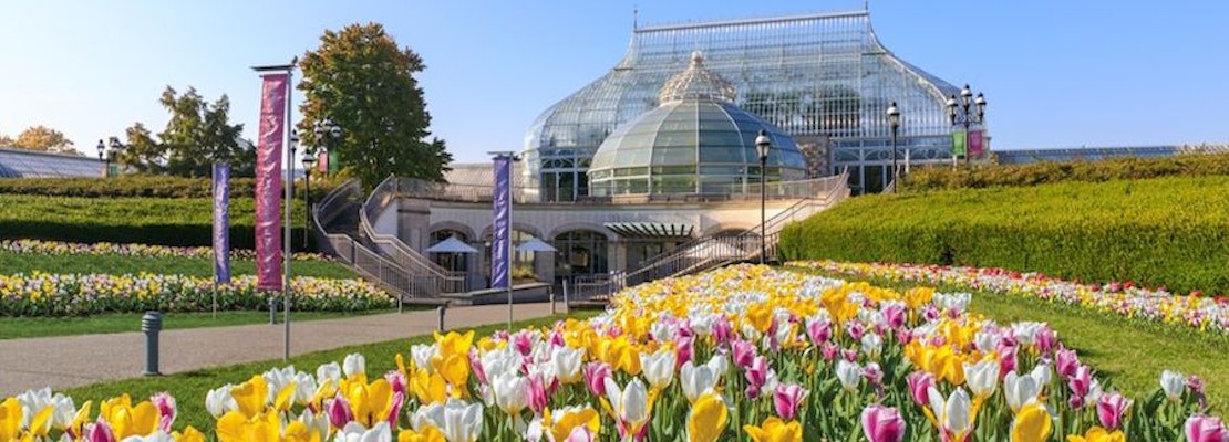 Pittsburgh boasts a hot lineup of family and learning events this week
