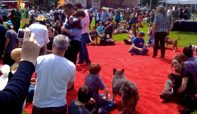 Duboce Park Dogfest Raises Over $50K for Local School