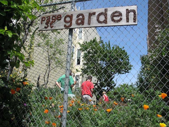 Secretly Awesome: Page Street Garden