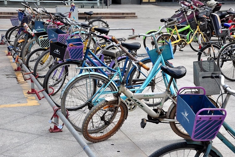 Seeking fun on the cheap? Here are 4 things to do for free in San Jose this week