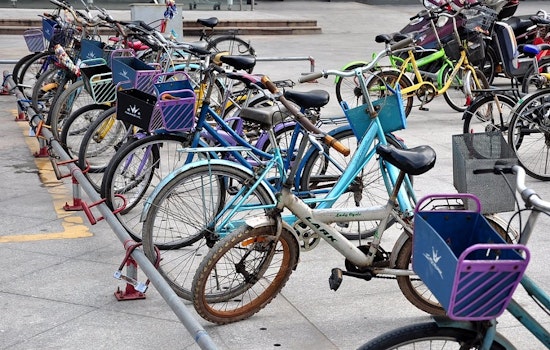 Seeking fun on the cheap? Here are 4 things to do for free in San Jose this week