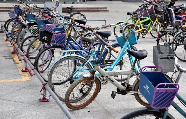 Seeking fun on the cheap? Here are 4 things to do for free in San Jose this week