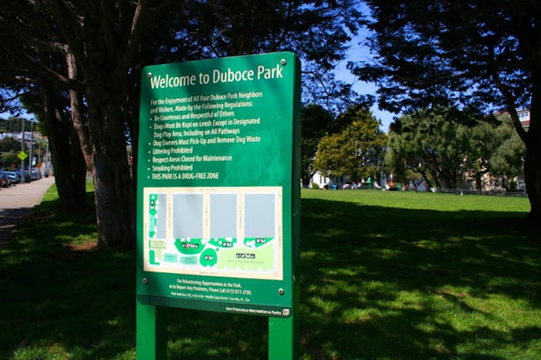 Mysterious Noises in Duboce Park?
