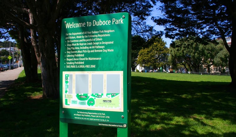 Mysterious Noises in Duboce Park?
