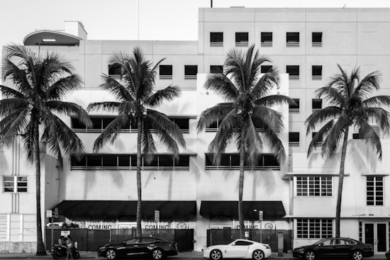 Top Miami news: Man arrested after 2 women found dead; Ultra Music Festival terminates agreement