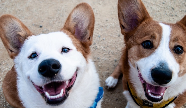 Go free this week with these 4 no-cost events in San Diego