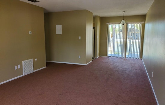 Renting in Tampa: What's the cheapest apartment available right now?