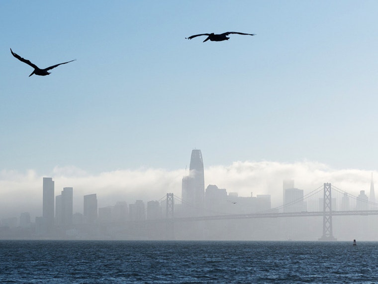 25 Great Reasons To Leave Your Apartment This Weekend